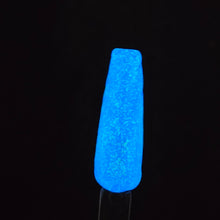 Load image into Gallery viewer, Jellyfish Jam
