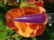 Load image into Gallery viewer, Plum Crazy
